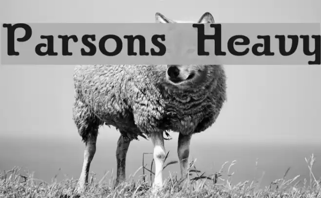 Parsons Heavy Font examples
