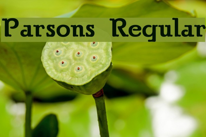 Parsons Regular Example 2