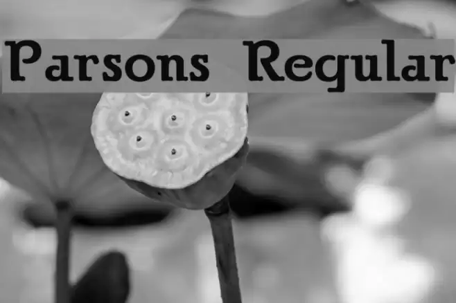 Parsons Regular Font examples