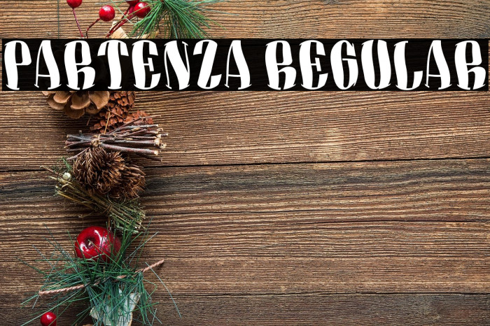 Partenza Regular Example 3