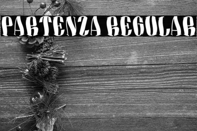 Partenza Regular Font examples