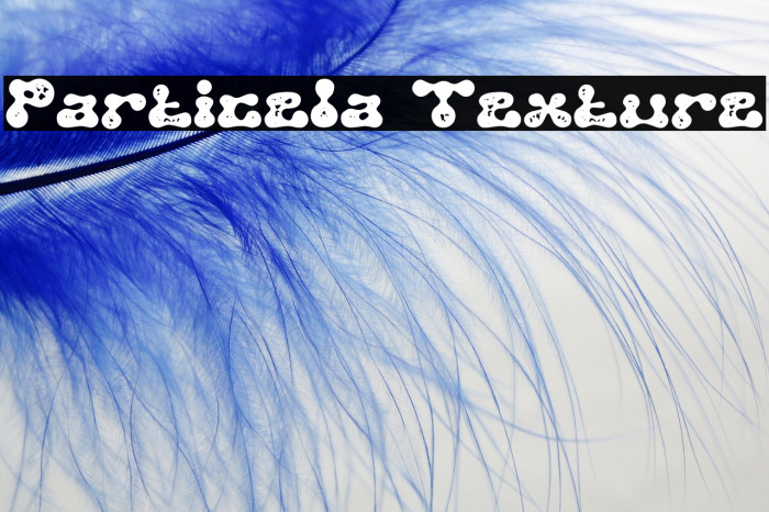 Particela Texture Example 1