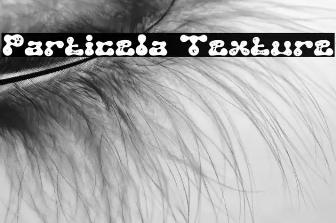 Particela Texture Font examples