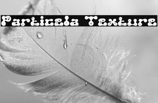 Particela Texture Font examples