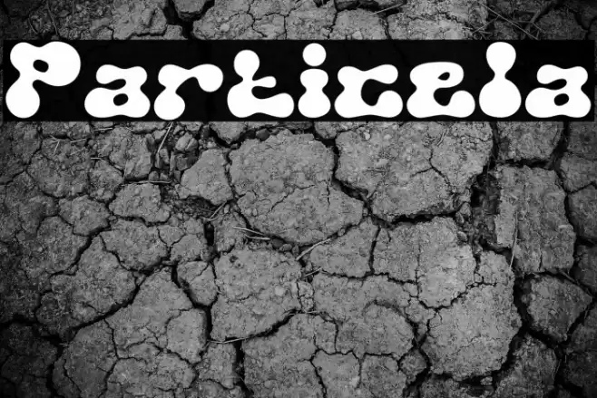 Particela Font examples