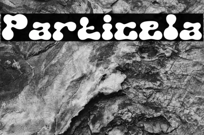 Particela Font examples