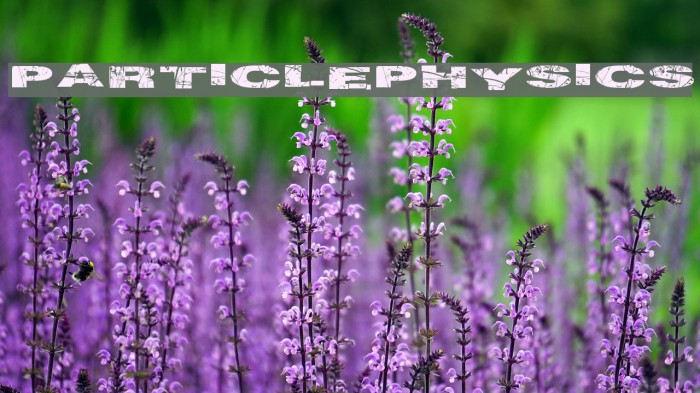 ParticlePhysics Example 1