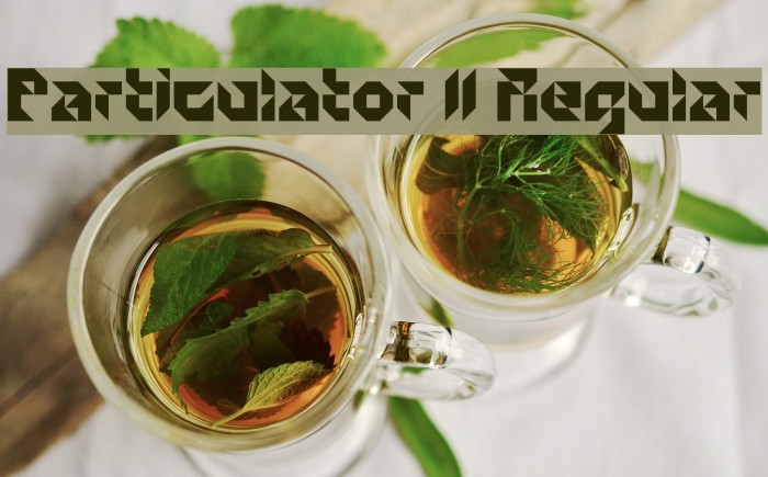 Particulator II Regular Font examples
