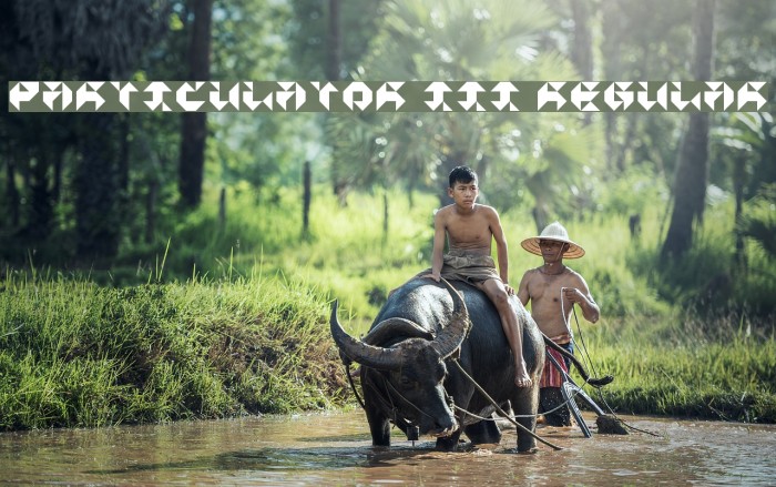 Particulator III Regular Font examples