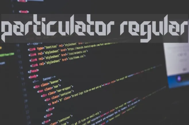Particulator Regular Example 1
