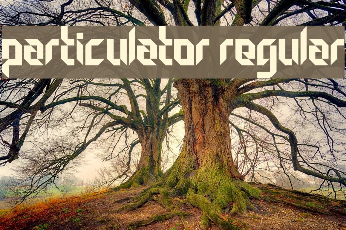 Particulator Regular Font examples