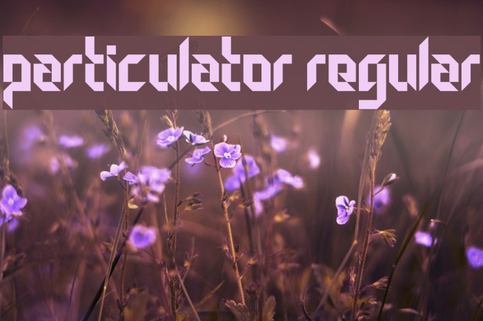 Particulator Regular Font examples
