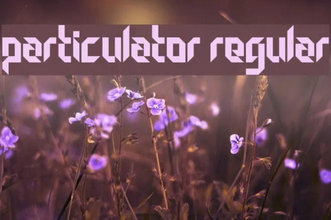 Particulator Regular Example 3