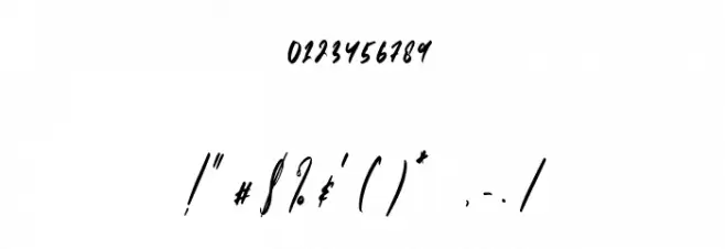 Partiny Agathi-Regular Font OTHER CHARS