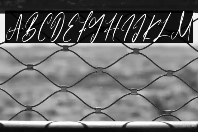 Partiny Agathi-Regular Font examples