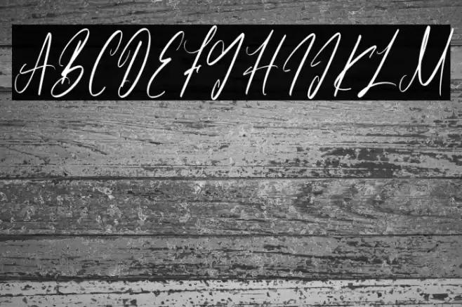 Partiny Agathi-Regular Font examples