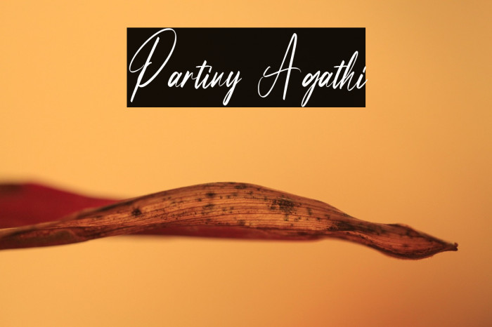 Partiny Agathi Example 1