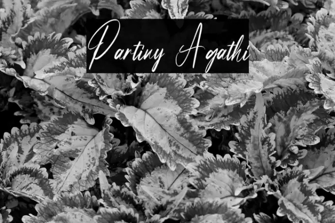 Partiny Agathi Font examples