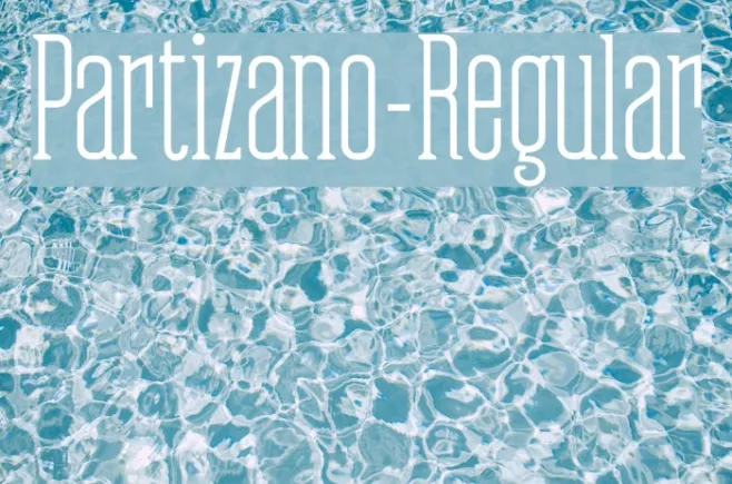 Partizano-Regular Example 2