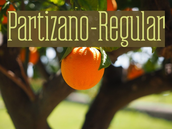 Partizano-Regular Font examples