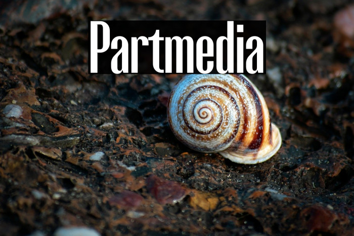 Partmedia Example 1