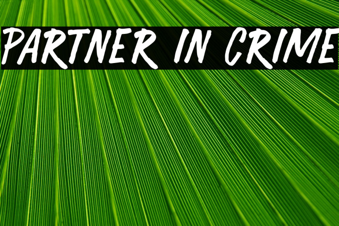 Partner in Crime Font examples