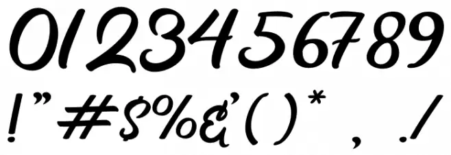 Partner Font OTHER CHARS