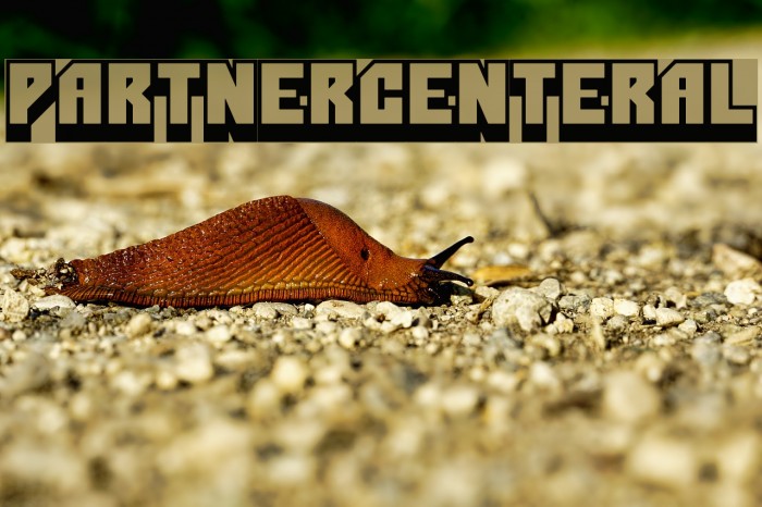 PartnerCenterAL Example 2