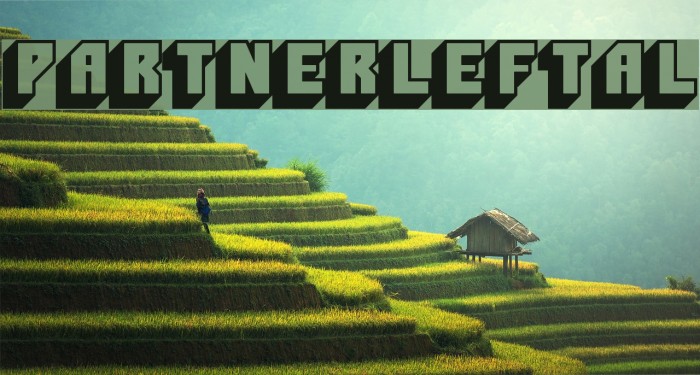 PartnerLeftAL Example 1