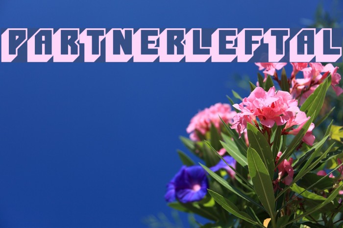 PartnerLeftAL Example 2