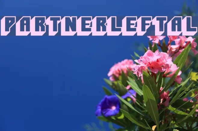 PartnerLeftAL Example 2