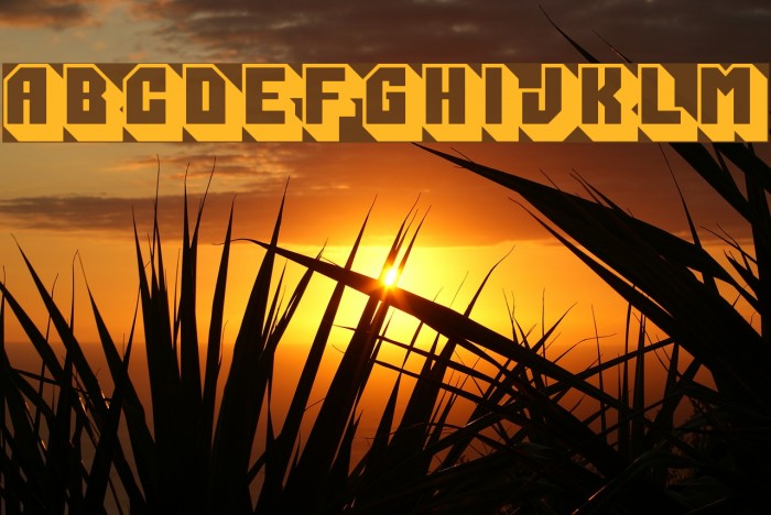 PartnerRight Al Example 1