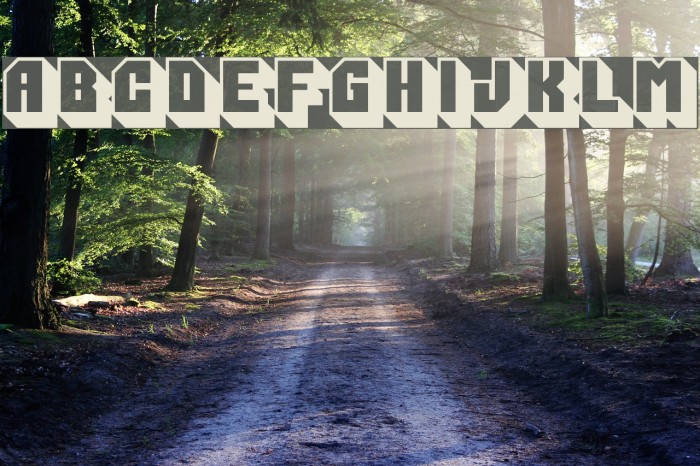 PartnerRight Al Example 2