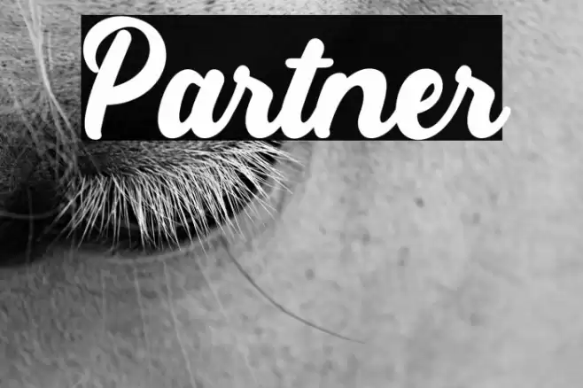 Partner Font examples