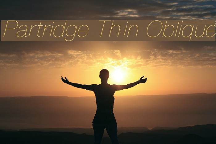 Partridge Thin Oblique Font examples
