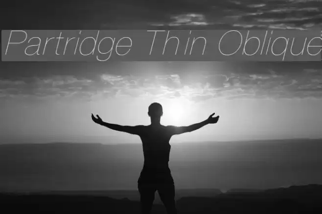 Partridge Thin Oblique  examples
