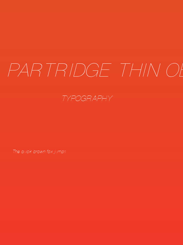 Partridge Thin Oblique Poster