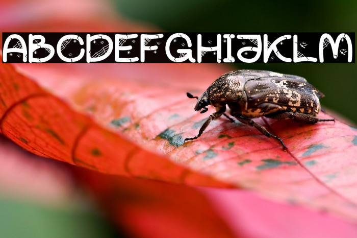 Partty Halloween Example 1