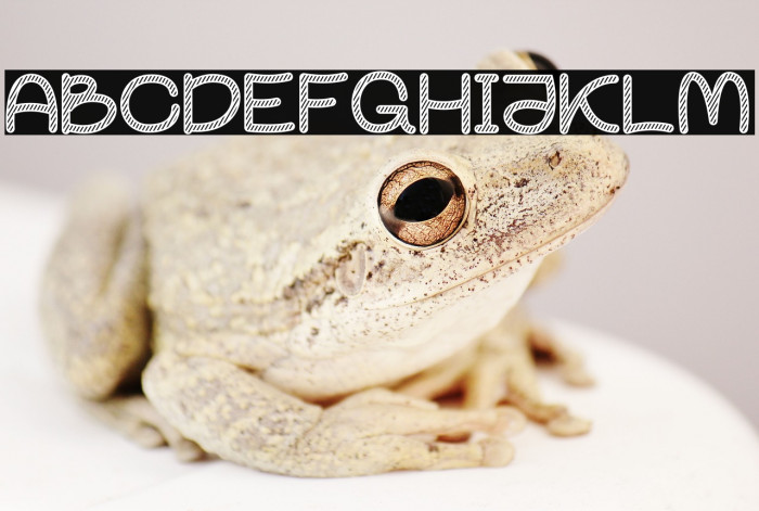 Partty Sketch Example 2