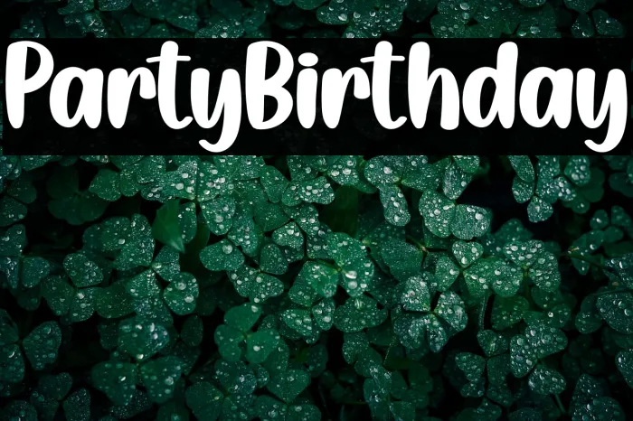 Party Birthday Example 1