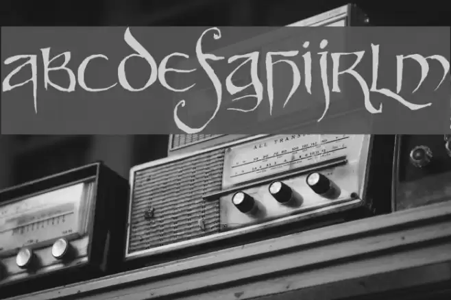 Party Business Font examples