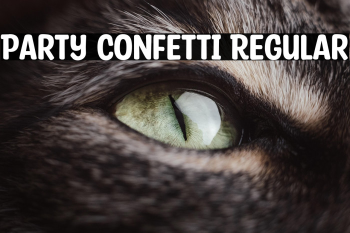 Party Confetti Regular Example 2