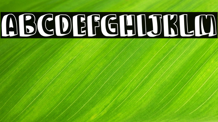 Party Kiwari Example 1