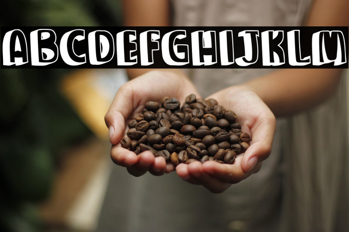 Party Kiwari Example 3