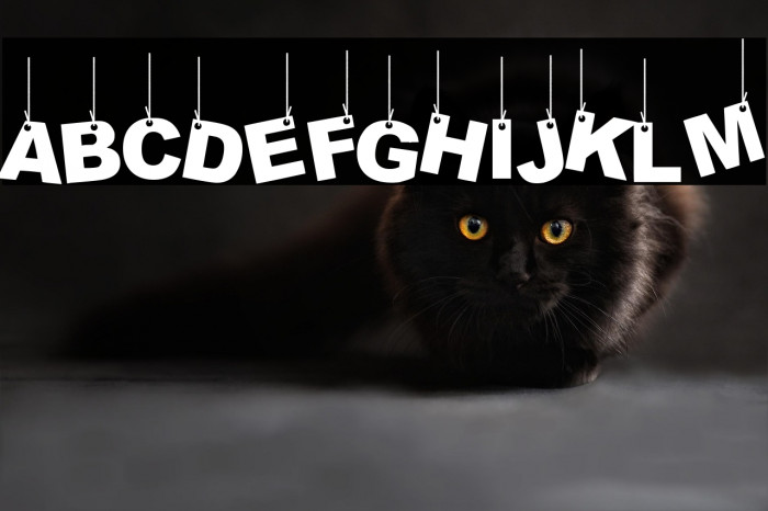 Party Letters On a Rope Example 1