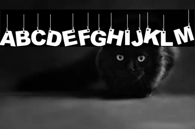 Party Letters On a Rope Fuentes examples