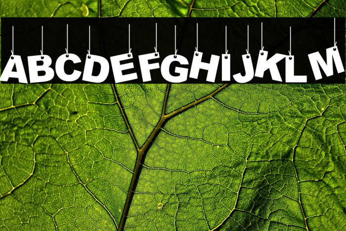 Party Letters On a Rope Example 2