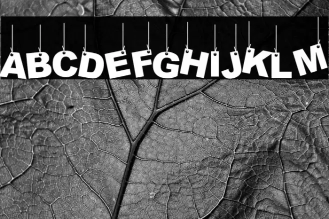 Party Letters On a Rope Fuentes examples