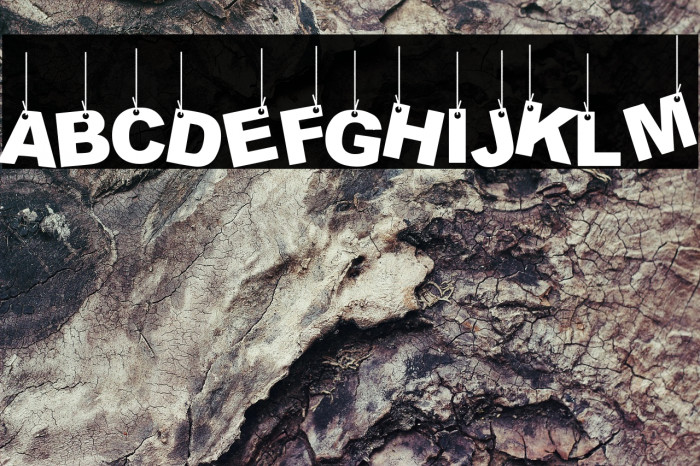 Party Letters On a Rope Example 3