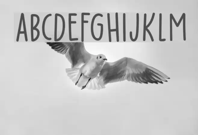 Party Pocket DEMO Regular Font examples